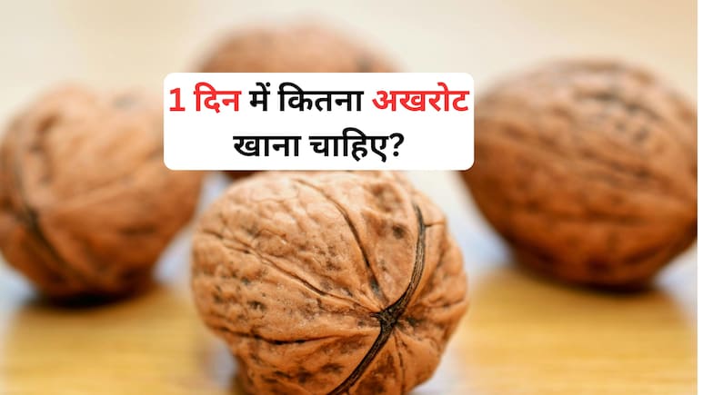 1 दिन में कितना अखरोट खाना चाहिए और सर्दी में बॉडी गरम रखने के लिए कैसे खाएं , जानिए यहां सही तरीका