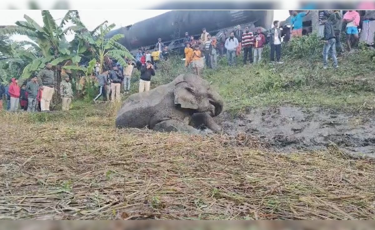 Latest and Breaking News on NDTV Latest and Breaking News on NDTV