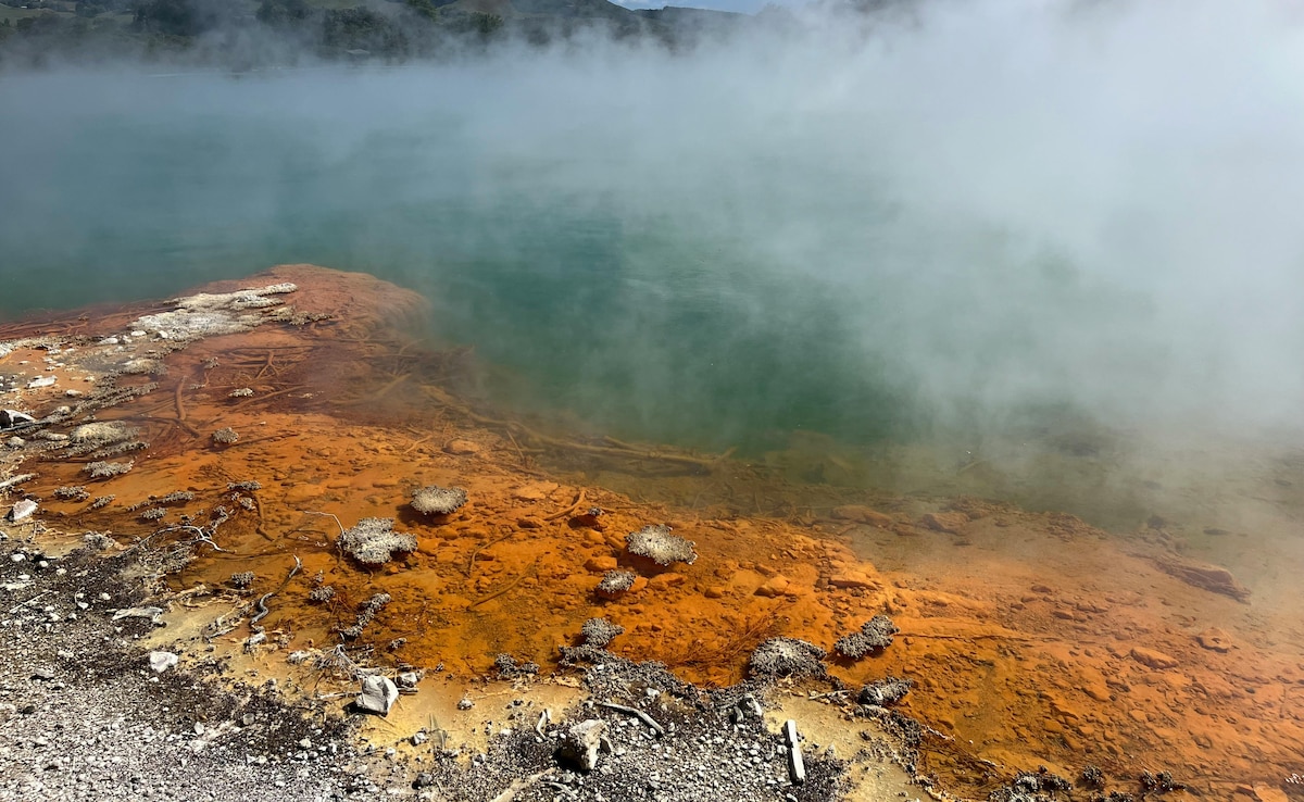 Latest and Breaking News on NDTV