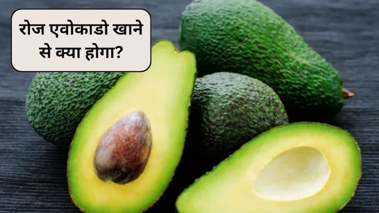 क्या रोज एवोकाडो खाना ठीक है? 1 दिन में कितना एवोकाडो खाना चाहिए, एक्सपर्ट से जानिए Avocado के फायदे