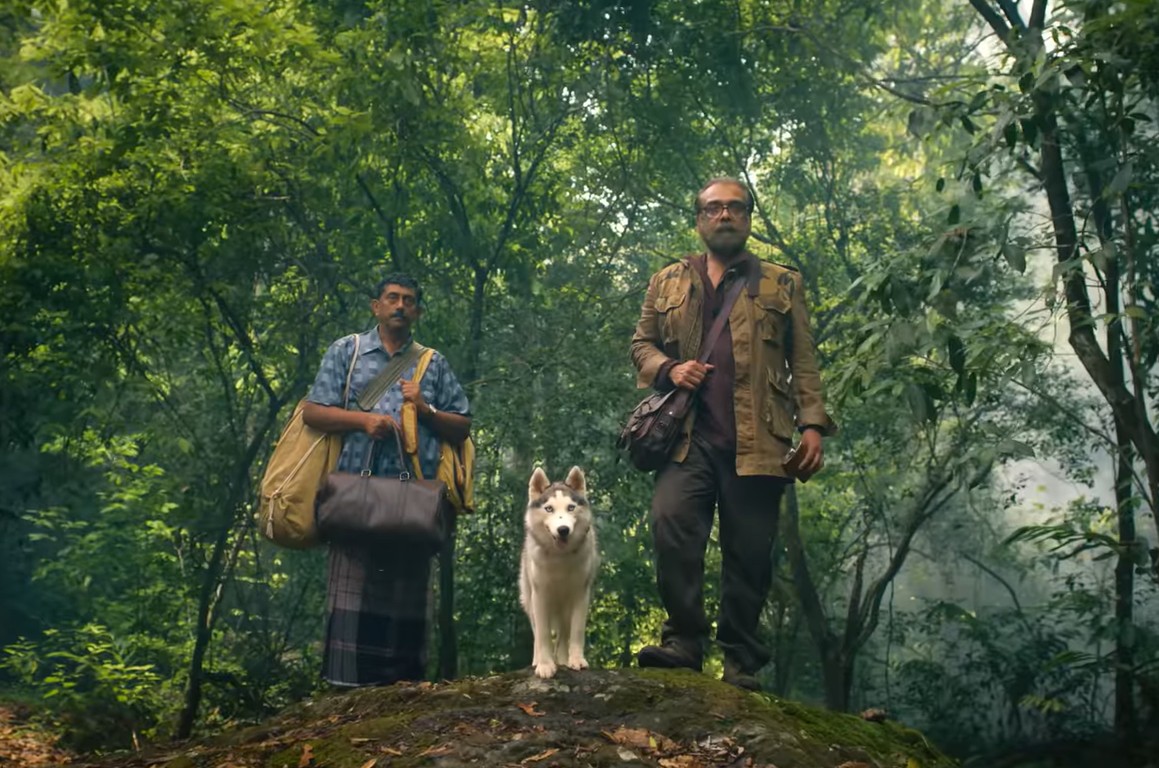 95 लाख ओपनिंग करने वाली साउथ की ये फिल्म हुई सुपरहिट, 120 बहादुर, मस्ती 4 को भी प्रॉफिट के मामले में छोड़ा पीछे