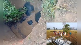Chhattisgarh News: कुएं में गिरे चार हाथियों को बाहर निकाला, साढ़े चार घंटे चला रेस्क्यू अभियान, अब जंगल की ओर भेजने का प्रयास