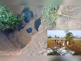 Chhattisgarh News: एक छोटे 'गजराज' समेत कुएं में गिरे चार हाथी, बचाव कार्य जारी, लापरवाही से नाराज ग्रामीण बोले- हमने तो पहले ही...