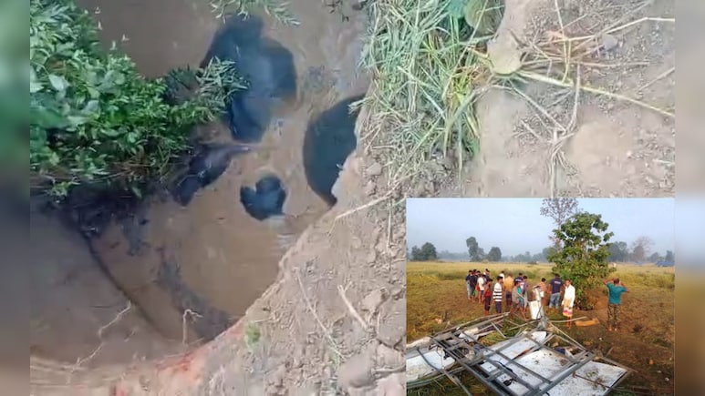 Chhattisgarh News: कुएं में गिरे चार हाथियों को बाहर निकाला, साढ़े चार घंटे चला रेस्क्यू अभियान, अब जंगल की ओर भेजने का प्रयास