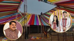 21 दूल्हों के साथ घोड़ी पर सवार होकर निकलेगा CM का दूल्हा बेटा, बग्गियों में बैठेंगी सभी की दुल्हन, तैयारी पूरी