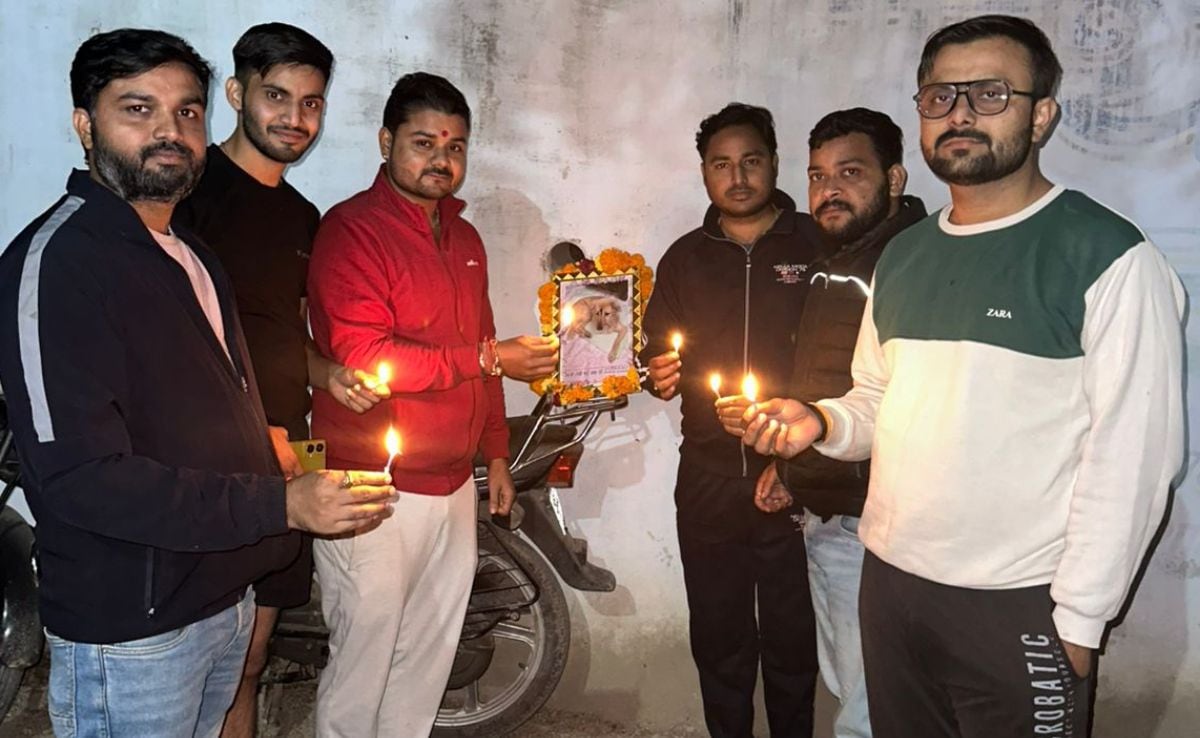 Latest and Breaking News on NDTV