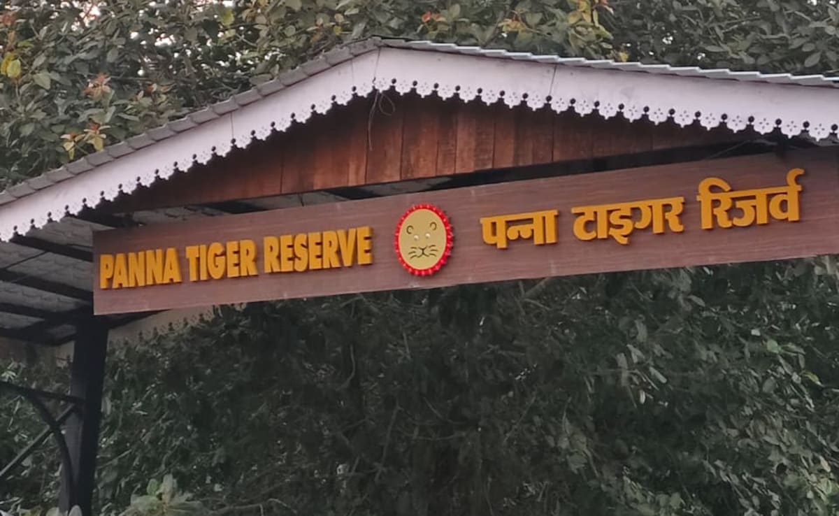 The entrance of Panna Tiger Reserve. Photo: Author The entrance of Panna Tiger Reserve. Photo: Author