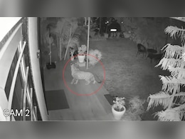 जयपुर में तेंदुआ दिखने से हड़कंप, घर के गेट पर चढ़ा; स्कूलों में करवाई जल्दी छुट्टी