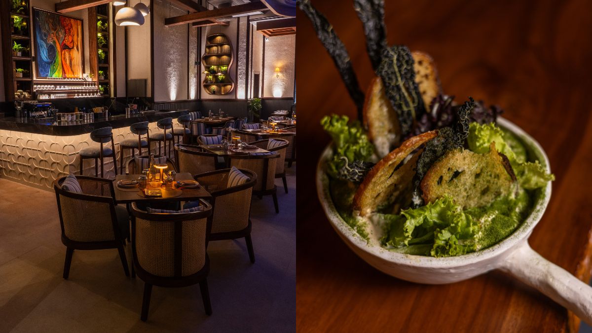 Novy Opens In Gurugram And Shows How India Wants To Eat Today