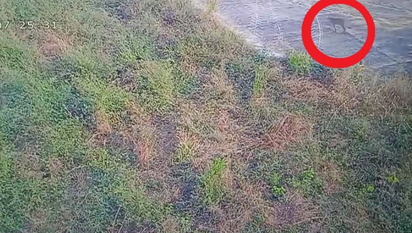 Latest and Breaking News on NDTV