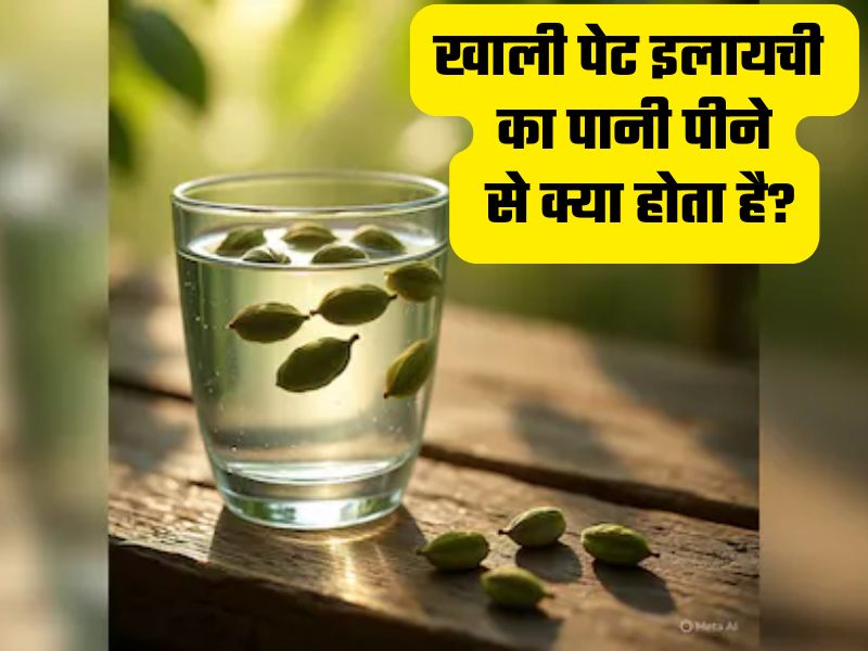 सुबह खाली पेट इलायची पानी पीने से ये बीमारियां होती हैं दूर?