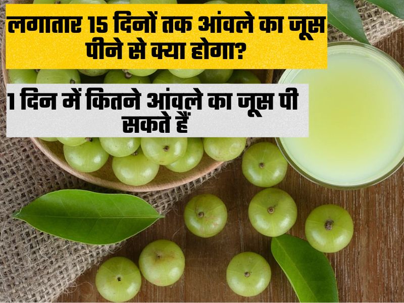 लगातार 15 दिनों तक आंवले का जूस पीने से क्या होगा, 1 दिन में कितने आंवलों का जूस पी सकते हैं, 1 दिन में कितने आंवले खा सकते हैं