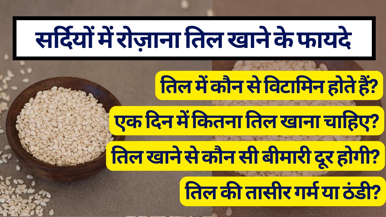 सर्दियों में रोजाना त‍िल खाने से क्‍या होगा, दिन में कितना तिल खाएं, तिल की तासीर और तिल में कौन से व‍िटाम‍िन होते हैं? जानें