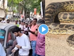 सावधान! दादरच्या या ठिकाणी कार पार्क करताय? महाकाय अजगर घुसला कारच्या बोनेटमध्ये..व्हिडीओ पाहून थरकाप उडेल