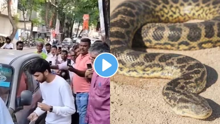 सावधान! दादरच्या 'या' ठिकाणी कार पार्क करताय? महाकाय अजगर घुसला कारच्या बोनेटमध्ये..व्हिडीओ पाहून थरकाप उडेल