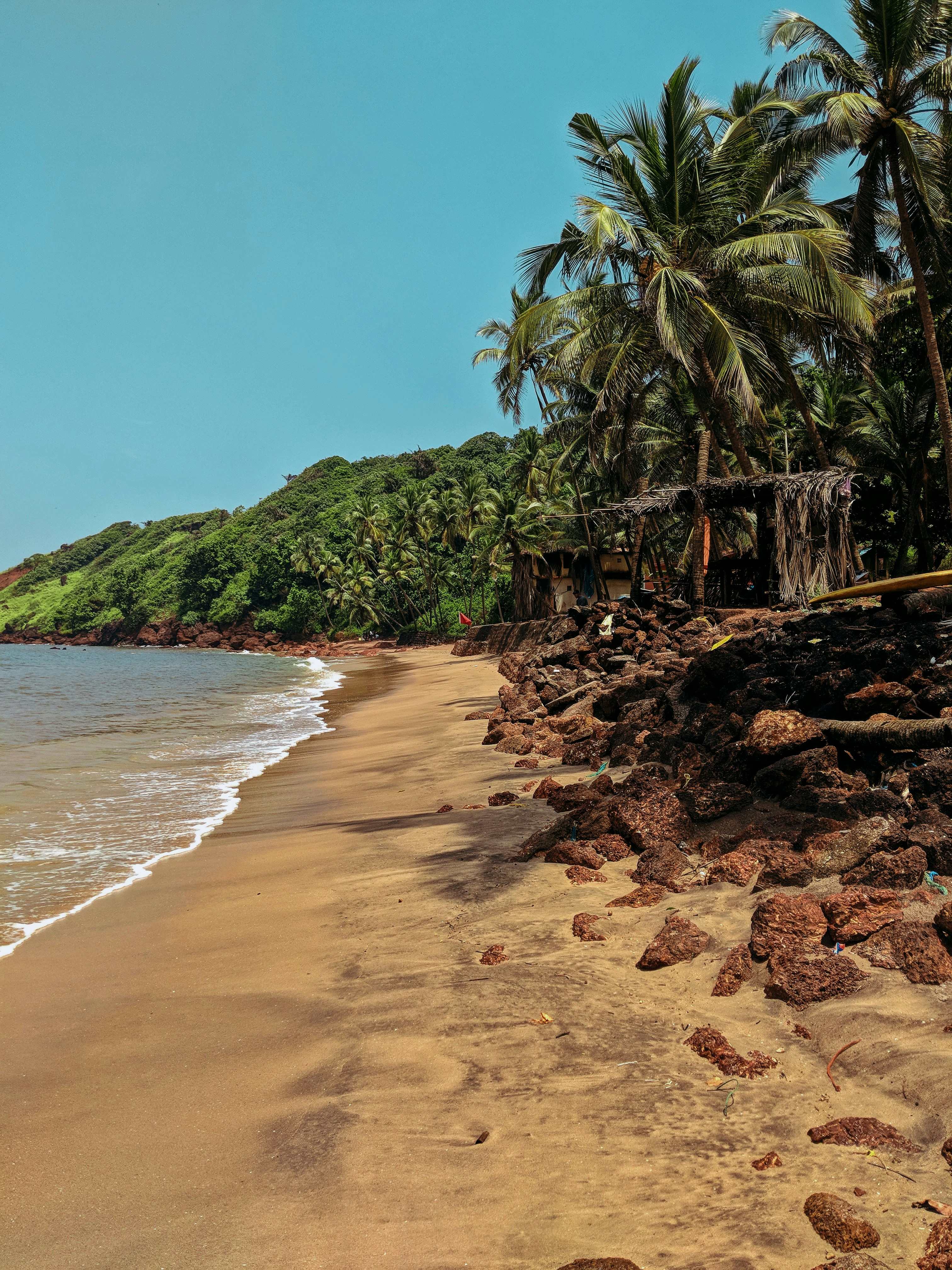Goa clocked an overall tourism growth of 6.23 percent compared to the same period last year. Goa clocked an overall tourism growth of 6.23 percent compared to the same period last year.