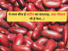ये लाल बीज उबालकर खाएं, 100 ग्राम में मिल जाएगा 24 ग्राम प्रोटीन, अंडा और चिकन भी हैं इसके सामने फेल