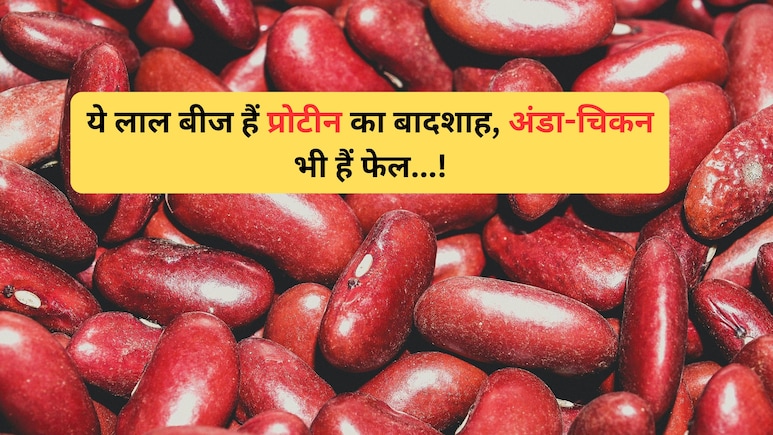 ये लाल बीज उबालकर खाएं, 100 ग्राम में मिल जाएगा 24 ग्राम प्रोटीन, अंडा और चिकन भी हैं इसके सामने फेल