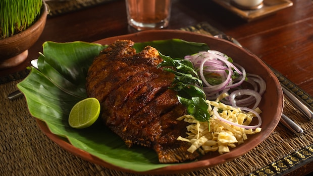 Latest and Breaking News on NDTV Latest and Breaking News on NDTV