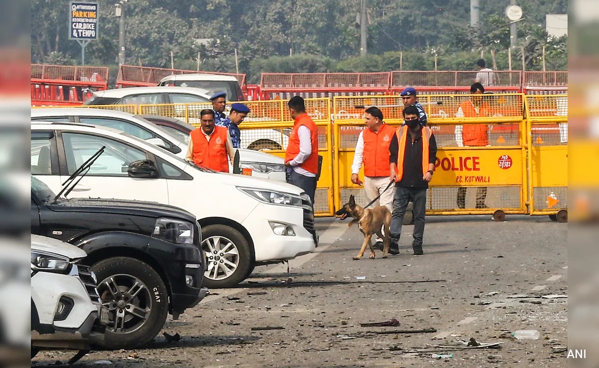 Cops Trace Vehicles Near i20 That Exploded Near Red Fort, Quizzes Drivers