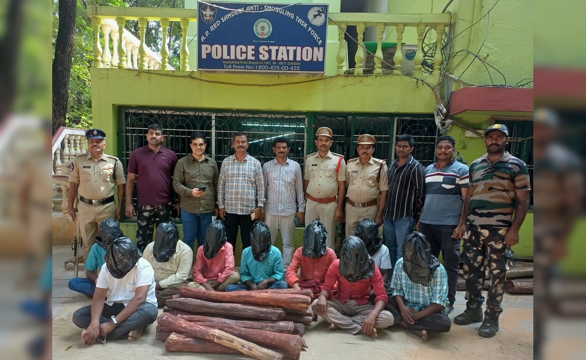 घना जंगल और लाल चंदन का अवैध कारोबार... पुलिस के हत्थे चढ़े आंध्र और तमिलनाडु के 'पुष्पा', पढ़ें फिर क्या हुआ