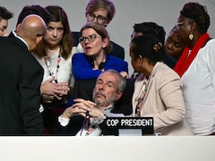 COP30: A Decade After Paris, Climate Diplomacy Is About Saving Itself