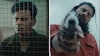 The Family Man 3 Trailer: Manoj Bajpayee&#039;s Srikant Is The Most Wanted Criminal