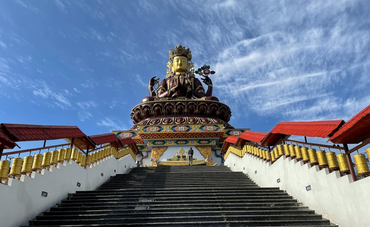 Latest and Breaking News on NDTV