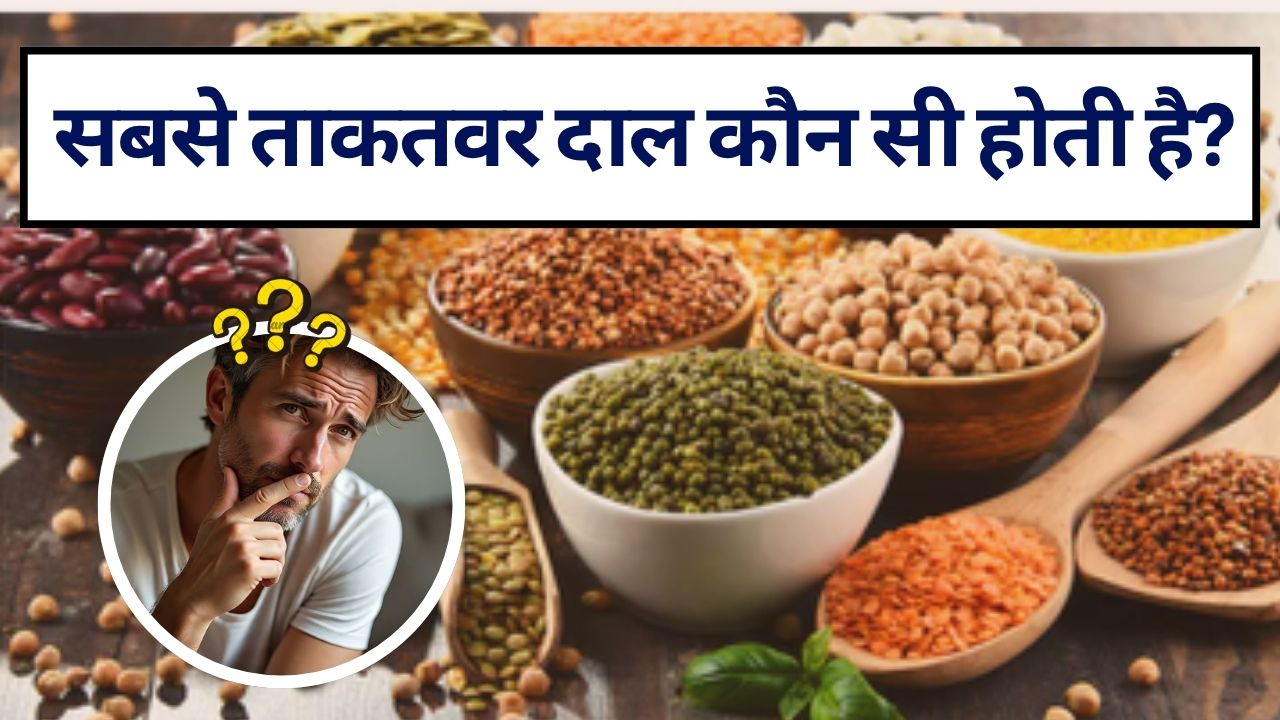 सबसे ताकतवर दाल कौन सी होती है, सबसे ज्यादा किस दाल में प्रोटीन होता है? जानें