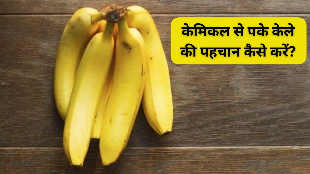 केले की मिठास में छुपा है जहर! कहीं आप तो नहीं खा रहे हैं केमिकल वाले केले, इन 5 ट्रिक्स से करें पहचान