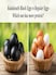 Kadaknath Black Eggs vs Regular Eggs: Which One Has More Protein?