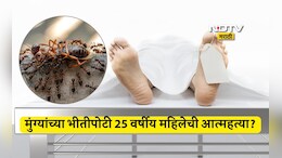 Myrmecophobia Symptoms: मला माफ करा, मी मुंग्यांसोबत राहू शकत नाही, लेकीची काळजी घ्या; मुंग्यांना घाबरुन महिलेची आत्महत्या