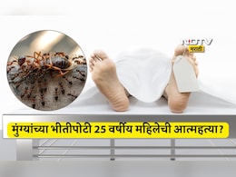 Myrmecophobia Symptoms: मला माफ करा, मी मुंग्यांसोबत राहू शकत नाही, लेकीची काळजी घ्या; मुंग्यांना घाबरुन महिलेची आत्महत्या