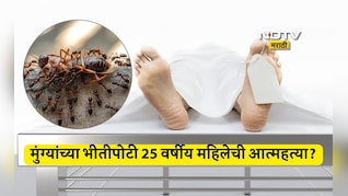 Myrmecophobia: माफ करा, मी मुंग्यांसोबत राहू शकत नाही, लेकीची काळजी घ्या; मुंग्यांना घाबरुन महिलेची आत्महत्या