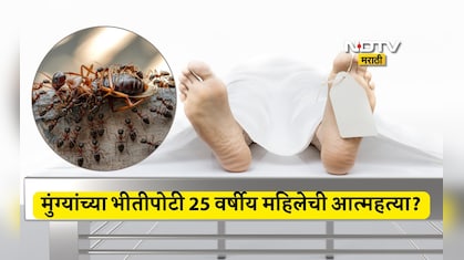 Myrmecophobia: माफ करा, मी मुंग्यांसोबत राहू शकत नाही, लेकीची काळजी घ्या; मुंग्यांना घाबरुन महिलेची आत्महत्या