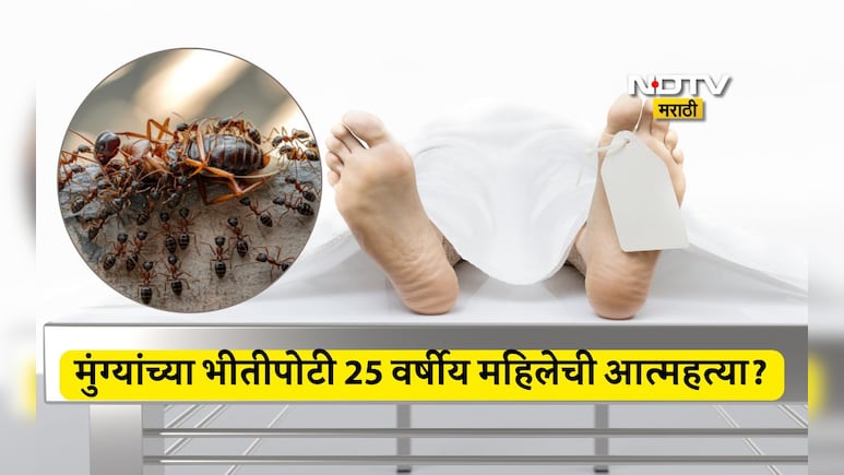 Myrmecophobia: माफ करा, मी मुंग्यांसोबत राहू शकत नाही, लेकीची काळजी घ्या; मुंग्यांना घाबरुन महिलेची आत्महत्या