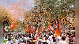 In Pics: BJP, JDU Supporters Celebrate As NDA Heads For Landslide Win In Bihar