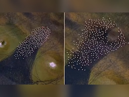 ईरान की झील पर दिखा ऐसा रहस्यमयी गोल पैटर्न...एक टक देखते रह गए लोग, वीडियोग्राफर ने ड्रोन कैमरे में किया कैद