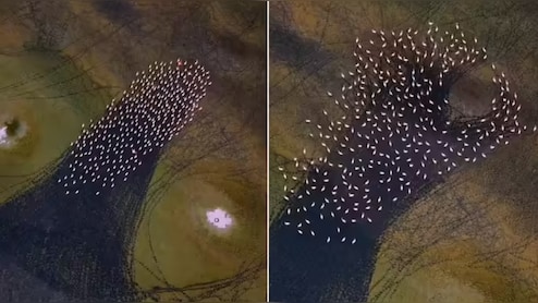 ईरान की झील पर दिखा ऐसा रहस्यमयी गोल पैटर्न...एक टक देखते रह गए लोग, वीडियोग्राफर ने ड्रोन कैमरे में किया कैद