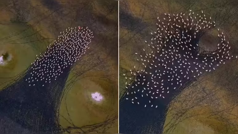 ईरान की झील पर दिखा ऐसा रहस्यमयी गोल पैटर्न...एक टक देखते रह गए लोग, वीडियोग्राफर ने ड्रोन कैमरे में किया कैद