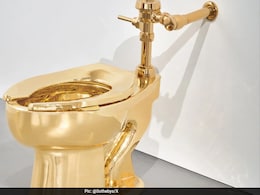 Gold Toilet Called "America" Sold For $12.1 Million At An Auction