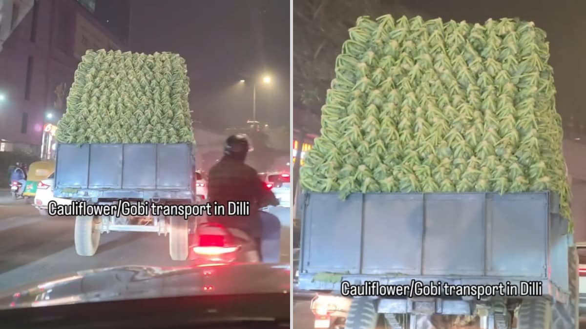 "It's A Covalent Bond" - Comedian's Clip Showing Bulk Gobi Transport In Delhi Sparks Funny Reactions