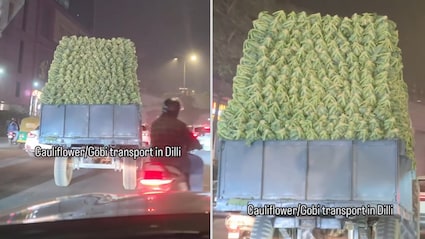 Comedian's Video Of Bulk 'Gobi Transport' In Delhi Sparks Funny Reactions
