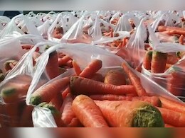 श्रीगंगानगर में गाजर की खेती से हर साल हो रहा 100 करोड़ व्यापार, देश ले कई हिस्सों में पहुंच रही मिठास 