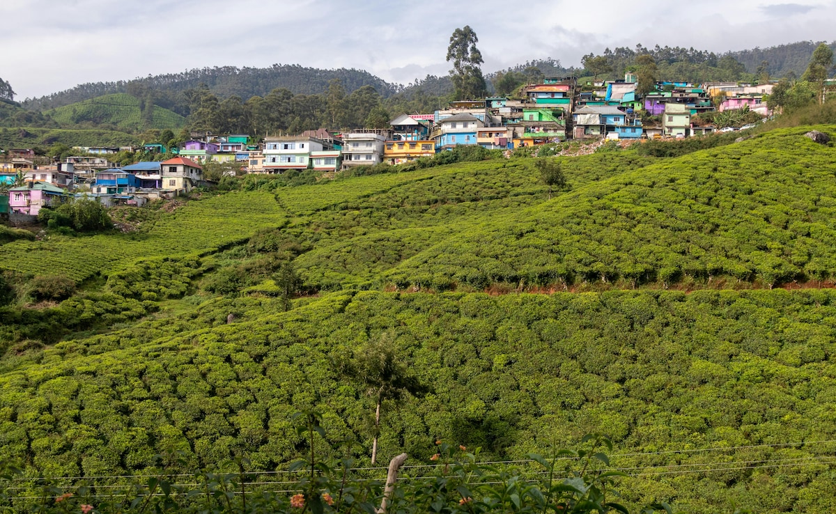 Latest and Breaking News on NDTV Latest and Breaking News on NDTV