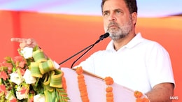 Rahul Gandhi's Claims On Representation In Constitutional Bodies Untrue: Sources