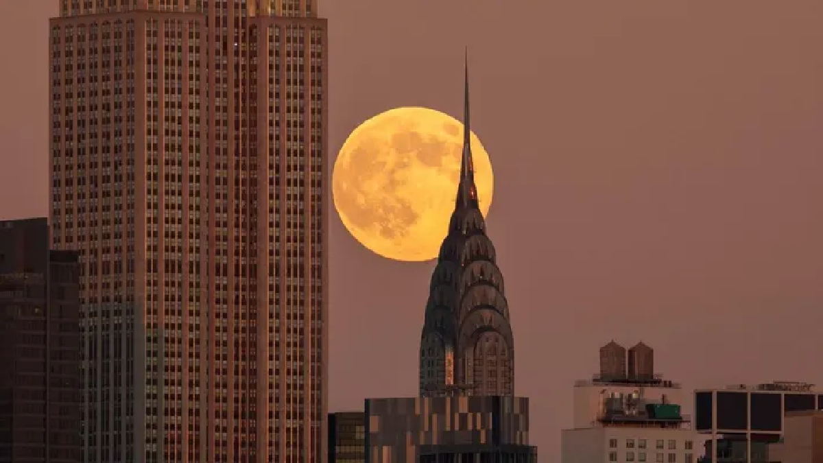 Beaver Moon: 5 नवंबर को आसमान में खिलेगा 'बीवर मून', क्यों खास है चांद का यह रूप, जानें