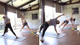 Malaika Arora's Dual Yoga Practice Sets New Seasonal Fitness Trend