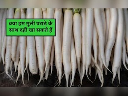 क्या दही के साथ मूली खा सकते हैं? मूली खाने के बाद कौन सी चीजें नहीं खानी चाहिए, जान‍िए यहां वरना खाना बन जाएगा जहर
