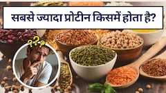किस आटे में सबसे ज्यादा प्रोटीन होता है?